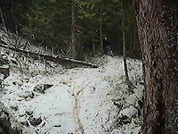 Snow day - Big Ed - Nov.12/2011