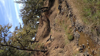 Coe: Stream crossing in Grizzly Gulch