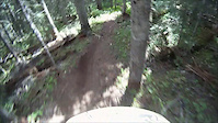 Piper DH