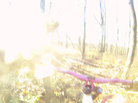 b-rock and fenceline