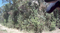 Maua @ Pista do Mirante 5fev part 2