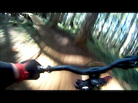 Blackrock Oregon Bonzai 1