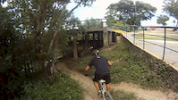 Parque @ waimea eucalipto 23fev