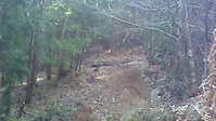 jottaman no gap barraca preta Lousã