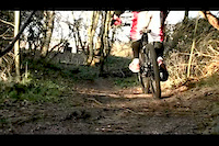 playing around in the spring.