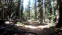 Reno-flag-bear-deadman loop