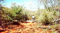 ZIM Downhill Verde Vale