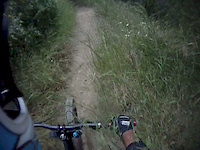 Rutted Horse Trail
