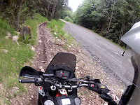 chipmunk creek trail 2