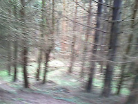 Ballycarton NPS Track