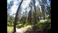 Enchanted Forest to Bottom