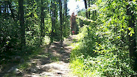 Real Trails