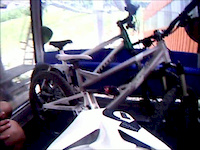 Summer Downhill