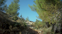 david rock garden