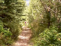 All Over Around and Down the Mountain