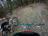 Gulley run