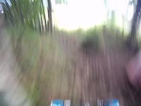 hilton wood slideout