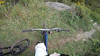 Bruce trail (babyhead)