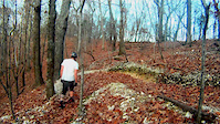 Chubb Trail, West Tyson park.
