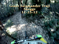 Giant Salamander Trail, Skeggs (11-25-12)