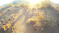 Black Canyon Trail AZ