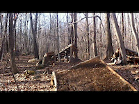Some Where in Connecticut