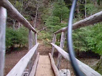 Mckenzie River Trail