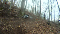 The Bowl
