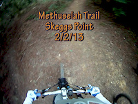 Methuselah Trail, Skeggs Point, 2/2/13
