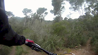 La branson (Esporles)