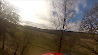 Our day at Ae Forest