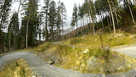 Coed-y-Brenin Minotaur