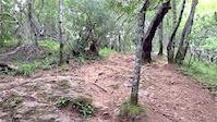 Solstice rock garden