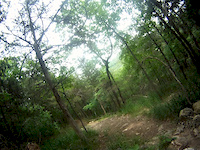 Eureka Spring Downhill