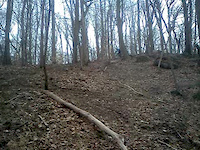 cell phone video