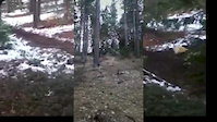 Mine trail edit