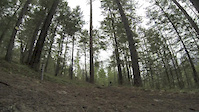 Cat Hills,Backside Loop