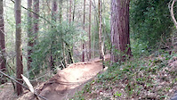 Farmer Johns MTB Park