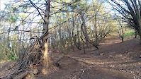 Craiglockhart Freeride Style Trail