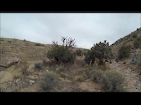 Cottonwood Valley