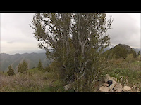 black mountain