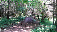 Sandy Ridge TNT Trail
