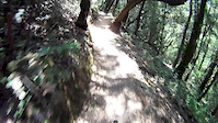 Roller Coaster Ride at Steven Canyon