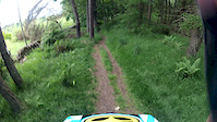 BeeCraigs Downhill