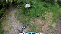 BeeCraigs Downhill