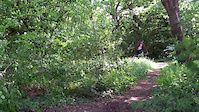 Craiglockhart Summer 2013