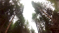 rostrevor dh1 after first fire road crash