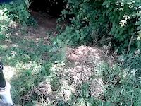 my new trail
