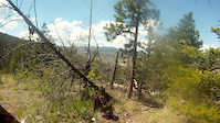 Merritt Ridge trail