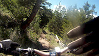 Merritt Ridge trail
